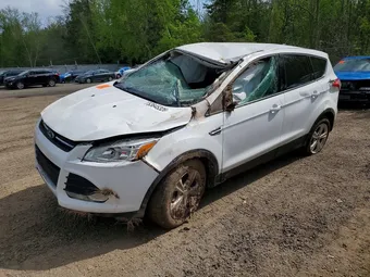 2016 Ford Escape 1FMCU0GXXGUA33249 Lot 53645326