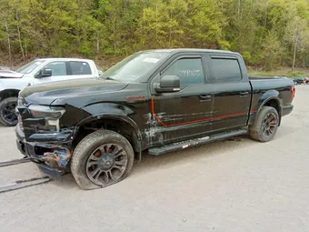2016 Ford F-150 1FTEW1EG6GFC81731 Lot 79413655
