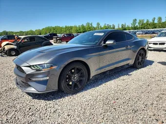 2019 Ford Mustang 1FA6P8TH1K5175438 Lot 49236476