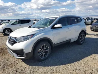 2020 Honda CR-V 2HKRW2H89LH687997 Lot 80696905
