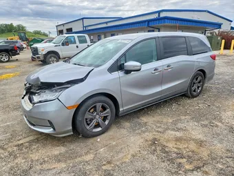 2021 Honda Odyssey 5FNRL6H55MB020463 Lot 54272116