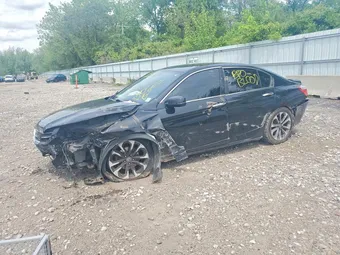 2015 Honda Accord 1HGCR2F51FA020148 Lot 50954876