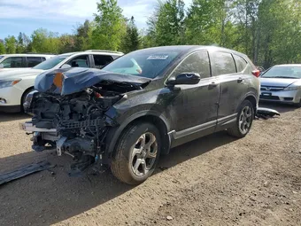 2019 Honda CR-V 2HKRW2H81KH129642 Lot 49423906
