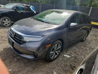 2022 Honda Odyssey 5FNRL6H89NB004858 Lot 58134306