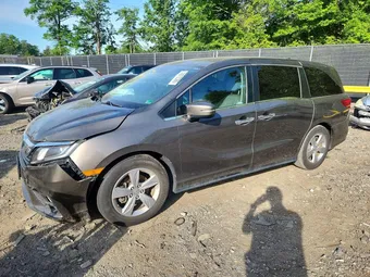 2019 Honda Odyssey 5FNRL6H59KB091761 Lot 53610386