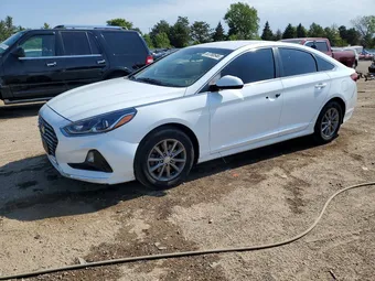 2019 Hyundai Sonata 5NPE24AF7KH802402 Lot 53780546