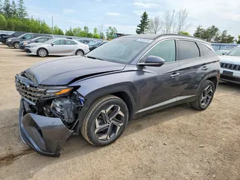 2023 Hyundai Tucson KM8JCCA12PU132471 Lot 55238146