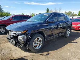 2023 Hyundai Tucson KM8JBCAE5PU259088 Lot 57749366