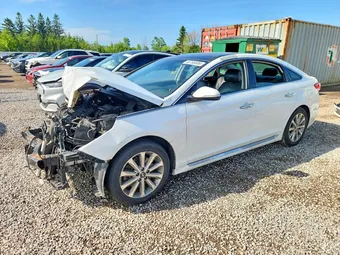2016 Hyundai Sonata 5NPE34AF0GH367193 Lot 56785606