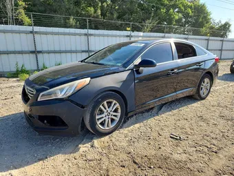 2015 Hyundai Sonata 5NPE24AF7FH237297 Lot 53966206