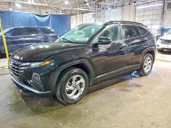 2023 Hyundai Tucson 5NMJBCAE5PH187952 Lot 76938865