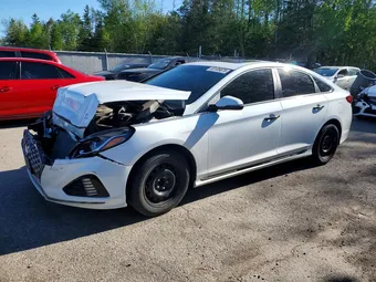 2019 Hyundai Sonata 5NPE34AF7KH803921 Lot 53109876
