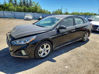 2019 Hyundai Sonata 5NPE34AF0KH748227 Lot 52451406