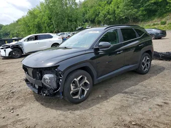 2022 Hyundai Tucson 5NMJCCAE7NH097275 Lot 57893486