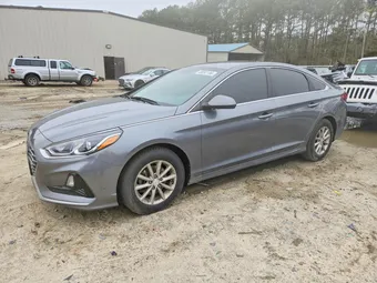 2019 Hyundai Sonata 5NPE24AF7KH794379 Lot 48052196