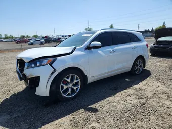 2017 Kia Sorento 5XYPKDA52HG262893 Lot 51290666