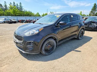 2019 Kia Sportage KNDPM3AC9K7571686 Lot 59239406