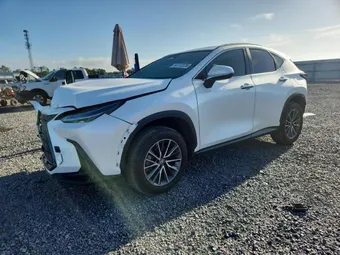 2023 Lexus NX 250 JTJGDCAZXP5010322 Lot 54172376