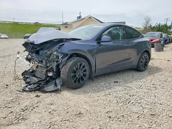 2023 Tesla Model Y 7SAYGDEE8PF981042 Lot 53264596