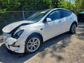 2024 Tesla Model Y 7SAYGDEEXRA274556 Lot 55491326