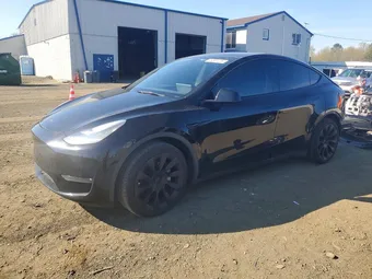 2021 Tesla Model Y Long 5YJYGDEE5MF219196 Lot 49557286