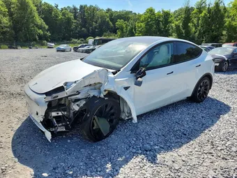 2020 Tesla Model Y 5YJYGDEE3LF037141 Lot 76835815