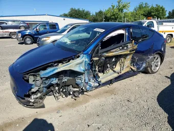 2024 Tesla Model Y 7SAYGDEE9RF983496 Lot 53243016