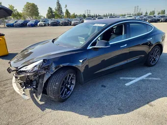 2019 Tesla Model 3 5YJ3E1EA1KF306005 Lot 50625456
