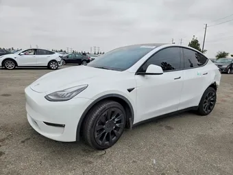 2021 Tesla Model Y 5YJYGAEE6MF243747 Lot 54956556
