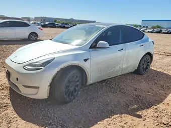 2020 Tesla Model Y 5YJYGDEE8LF011103 Lot 54675566