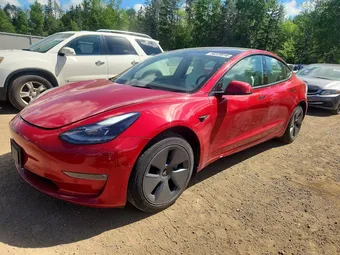 2022 Tesla Model 3 5YJ3E1EBXNF102834 Lot 56229916