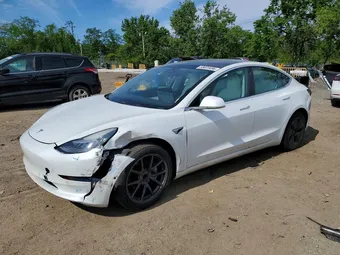 2019 Tesla Model 3 5YJ3E1EA1KF417816 Lot 53023496