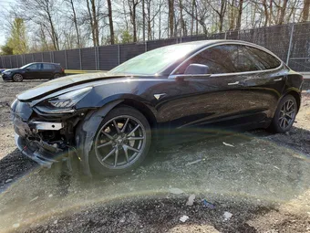 2019 Tesla Model 3 5YJ3E1EA9KF301702 Lot 48446086