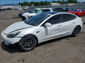 2019 Tesla Model 3 5YJ3E1EA1KF401390 Lot 58168646