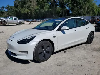 2021 Tesla Model 3 5YJ3E1EA0MF989821 Lot 53580876