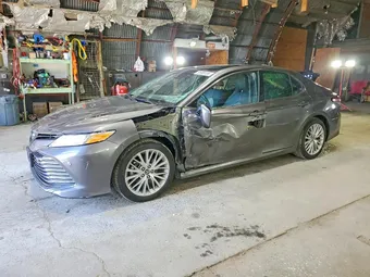 2019 Toyota Camry 4T1B11HK2KU791365 Lot 55909136