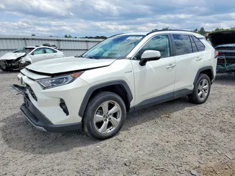 2020 Toyota RAV4 4T3DWRFV6LU005534 Lot 53375026