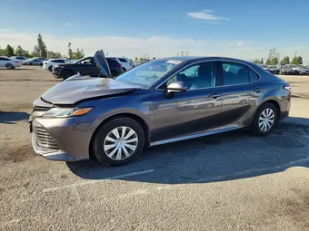 2019 Toyota Camry 4T1B31HK3KU517859 Lot 57377206