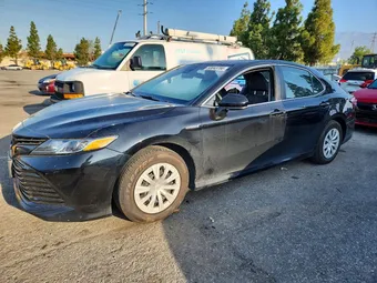 2020 Toyota Camry 4T1C31AK2LU536385 Lot 53043766