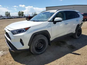 2019 Toyota RAV4 2T3DWRFV0KW034428 Lot 58832246