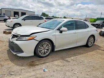 2019 Toyota Camry 4T1B21HKXKU513763 Lot 56207746