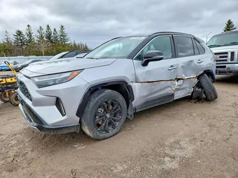 2024 Toyota RAV4 2T35WRFV6RW215287 Lot 45916786