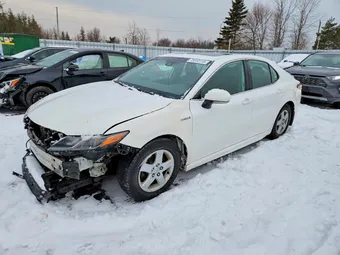 2019 Toyota Camry 4T1B21HK5KU514111 Lot 73010115