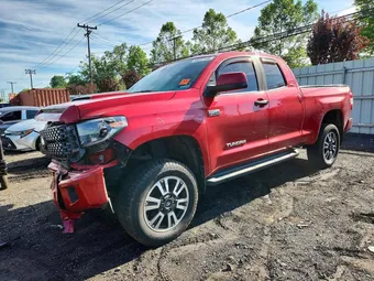 2019 Toyota Tundra 5TFUY5F18KX800871