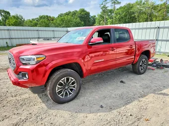 2023 Toyota Tacoma 3TMCZ5AN5PM551400 Lot 54857966