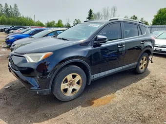 2016 Toyota RAV4 2T3ZFREV6GW310173 Lot 55243246