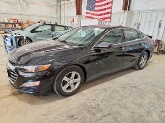 2019 Chevrolet Malibu 1G1ZB5STXKF194180 Lot 58554396