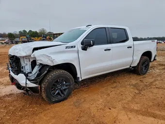 2023 Chevrolet Silverado 1500 3GCUDFE87PG308795 Lot 95842315