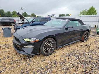 2019 Ford Mustang 1FATP8UH2K5104721 Lot 55310526