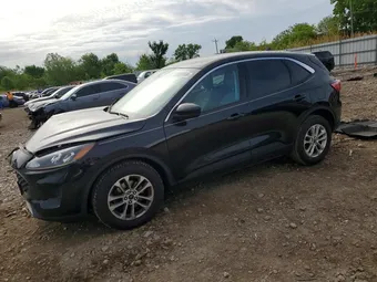 2021 Ford Escape 1FMCU0G63MUA10995 Lot 53945506
